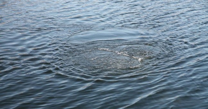 ЧЕЧНЯ. Наурским МСО проводится доследственная проверка по факту смерти несовершеннолетнего, утонувшего в водоеме